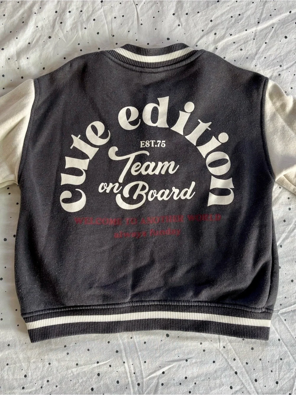 Zara Navy and Cream Varsity Jacket